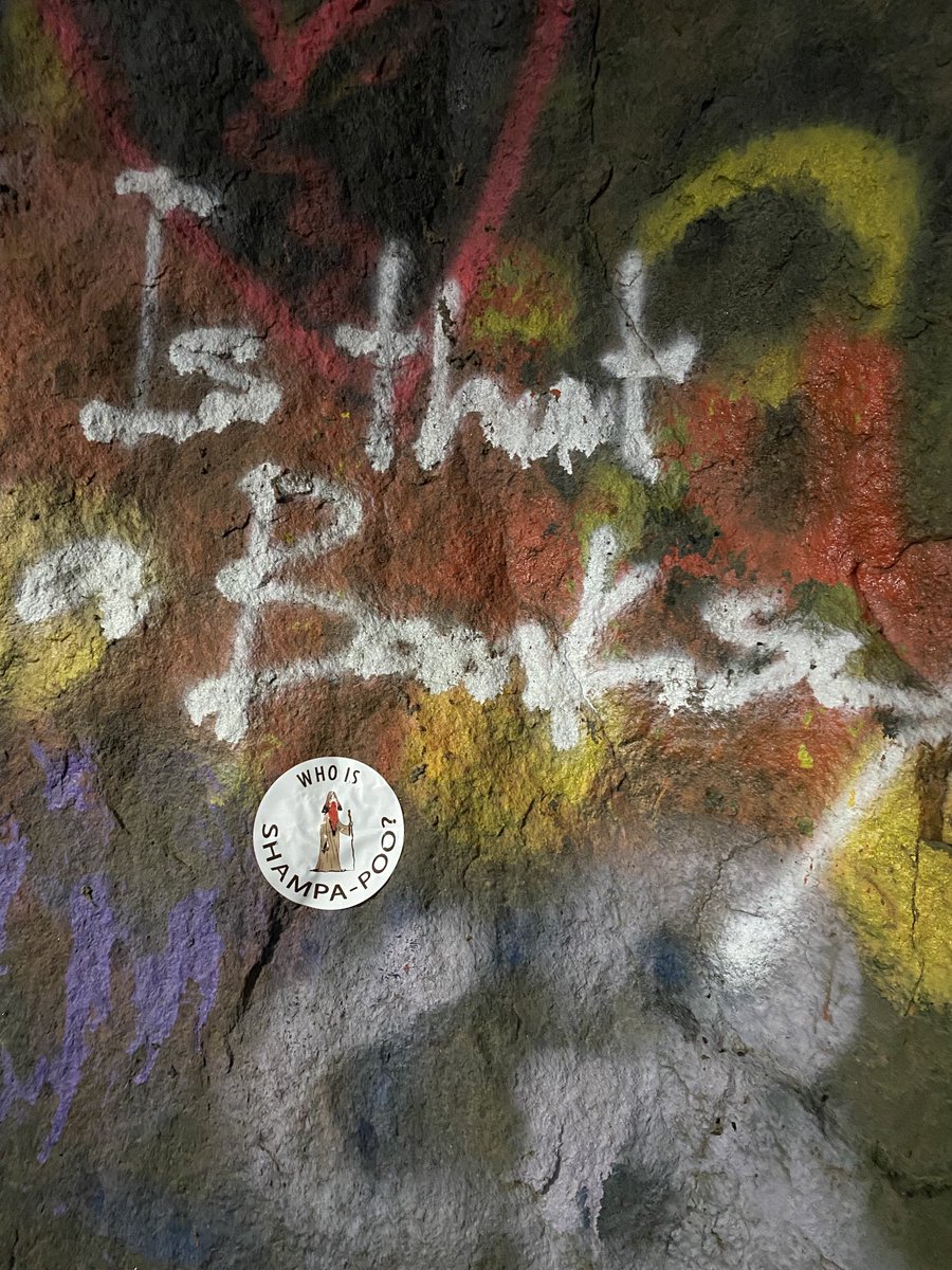 BethBayBooks1's tweet photo. #WhoIsShampapoo Seen in a tunnel near Donner peak, Truckee, California #Banksy https://t.co/ufdJaXfpml