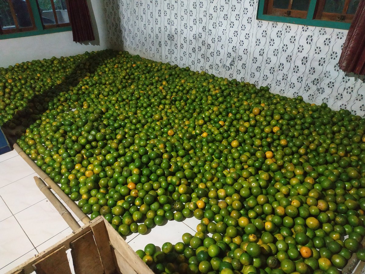 Banjir