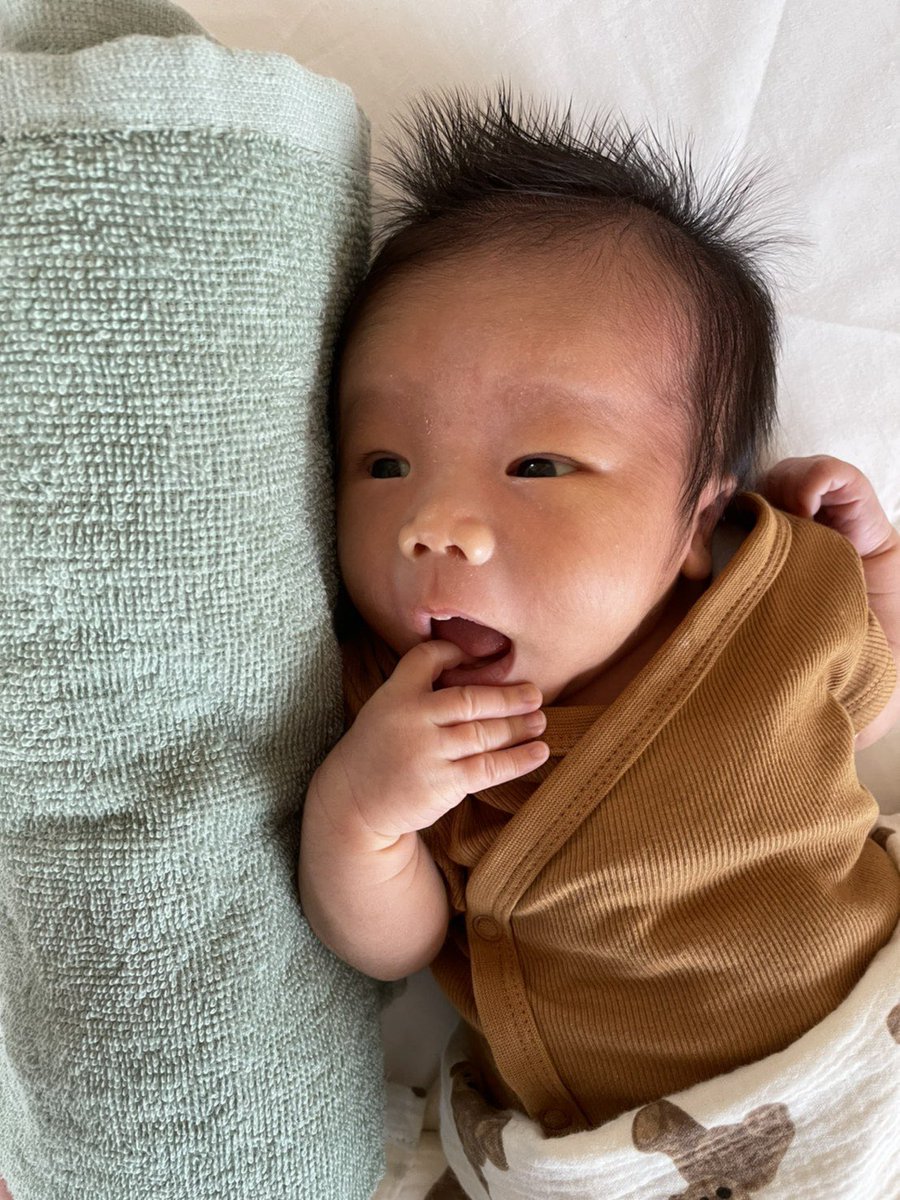 kendaimiyabi's tweet photo. デコ🤦‍♂️ https://t.co/OTSAqWS9Ga