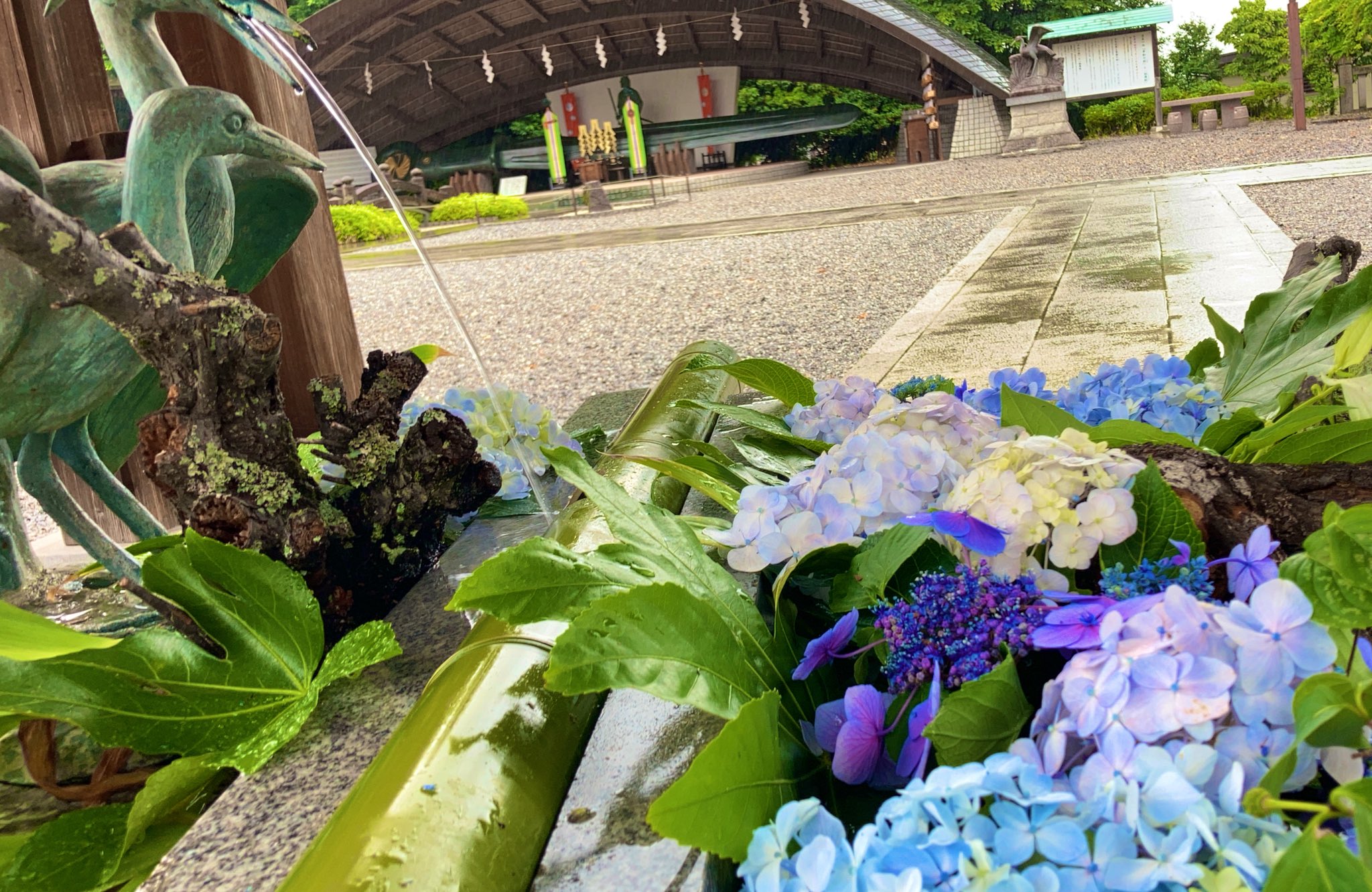 Happy 白鷺神社 紫陽花手水舎 御朱印も素敵です 白鷺神社 上三川 栃木県 刀 平和 紫陽花手水舎 紫陽花花手水 手水舎 花手水 紫陽花 アジサイ 水無月 あじさい 神社 紫陽花御朱印 御朱印 月詣り御朱印