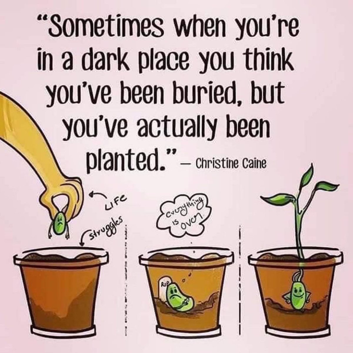 teachergoals's tweet image. So true! 🙌