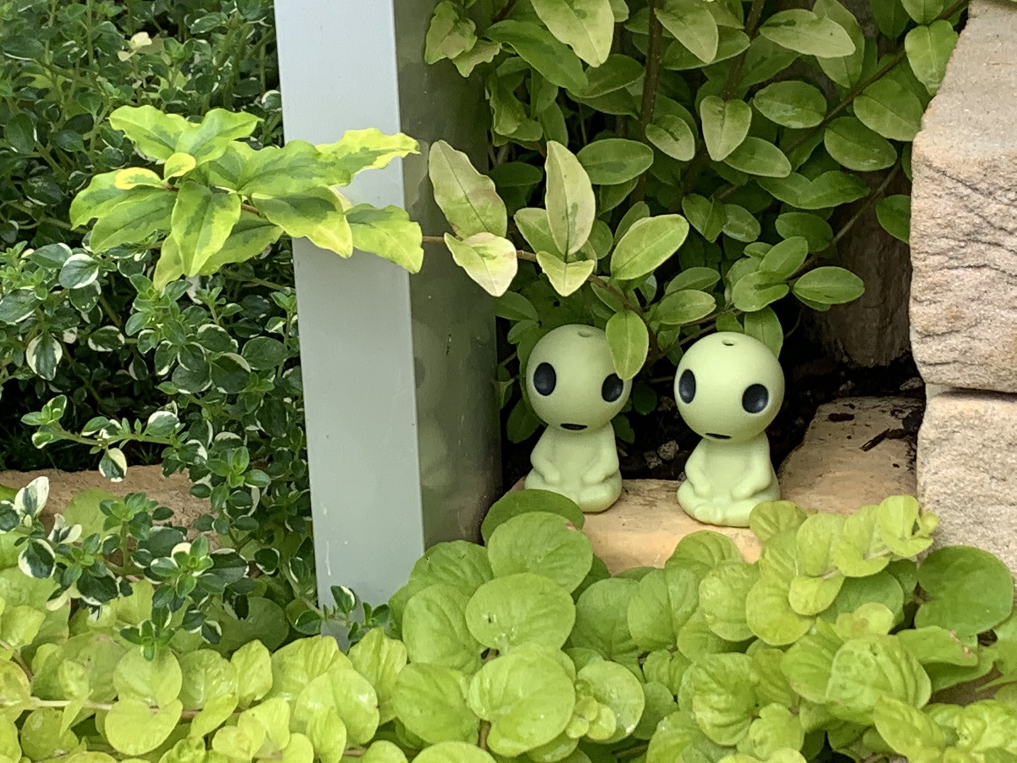 ボシ 非鉄ネタ 玄関脇の自作花壇にジブリ感をプラス 指人形のコダマ2匹とカオナシとサボイアs 21fを設置しました サボイアは水面イメージでled照明の上に接着 ジブリ カオナシ コダマ サボイアs21f ガーデニング プチ花壇 T Co