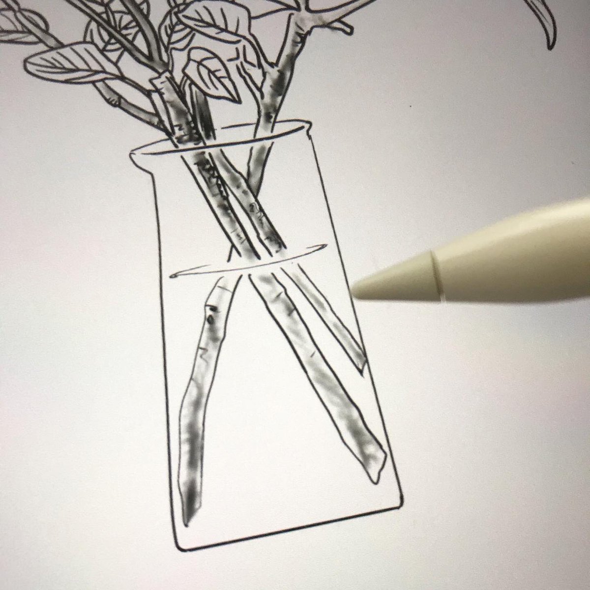UsamaruDesign's tweet photo. やっぱり難しい。水。涼しげに入っているように見えたい。So difficult to draw water... Hope it looks natural. #simpleinteriors #naturalinterior #シンプルインテリア #ナチュラルインテリア #ポスターデザイン #suzuriで販売中 #society6 #procreateillustration #drawingwater #水を描く https://t.co/QUulANw0r5