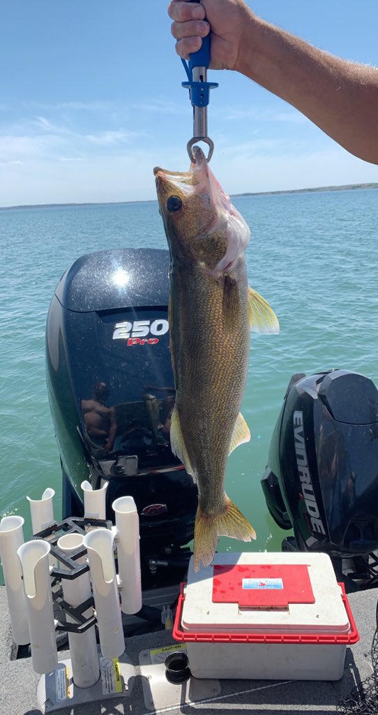 F_ingFishermen's tweet photo. First day out on the fishing trip, hogs bing caught #DippinNRipping #Buschhhhh https://t.co/vYVwfhD8lv