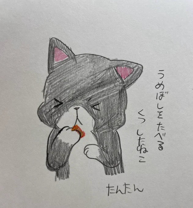 梅干しを食べるくつしたねこ

#イラスト #猫 