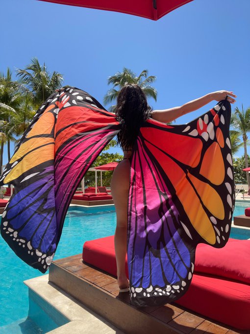 Hello everyone, I&rsquo;d like to inform you that I&rsquo;m a butterfly now! 🦋  @SHotelJamaica https://t.co/bQsC<a href="/tag/unicorn"class="tags"><span>#unicorn</span></a><a href="/tag/sober"class="tags"><span>#sober</span></a><a href="/tag/vibez"class="tags"><span>#vibez</span></a>