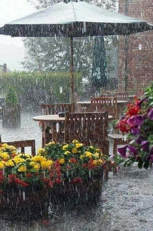 اللهم صل وسلم  وبارك على نبينا محمد عدد ماذكره الذاكرون وصل اللهم وسلم وبارك  على حبيبنا  محمد عدد ماغفل عن ذكره الغافلون 🌳🌳🌳