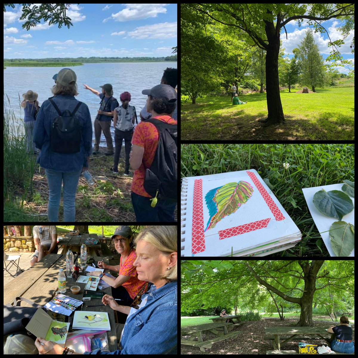 ❤️Ts=resilient creative powerhouses! 🍀4 amazing colleagues &amp; thought partners: 60 <a href="/BaltCoPS/">Baltimore County Public Schools</a> Art Ts,1st days of a much earned summer break. Reflecting on a year+ of challenge,loss &amp;learning. We set🔥 to our burdens&amp; planted🌱We 🛶 &amp; 🎨,Id’d 46 species of 🐦,inspired by poetry &amp;🏞