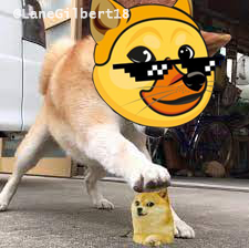 real DOGE in <a href="/wavesducks/">Arkimals</a>  NFT game
#WavesDucks #NFT $WAVES #DeFi