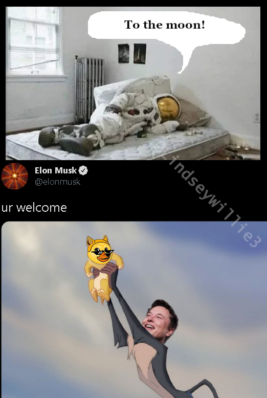 you know me well elon, you know me well... <a href="/elonmusk/">Elon Musk</a> 
#WavesDucks #NFT $WAVES #DeFi