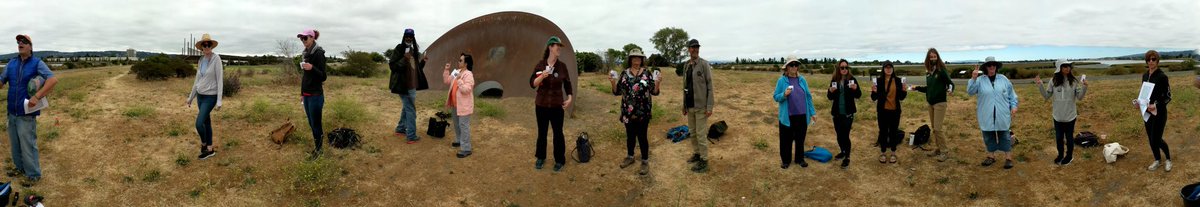 DarthScience's tweet photo. Day 4/5 done! 2nd day teaching in person, this time at #ArrowheadMarsh. Had a blast with our teachers, @ExploMuller, and special guest @Sassafire1 from @EBRPD. We made compasses, did some kinesthetic astronomy, and got to see bat rays feeding! One more day to go.
#exploedu https://t.co/qCXB1zUuoz