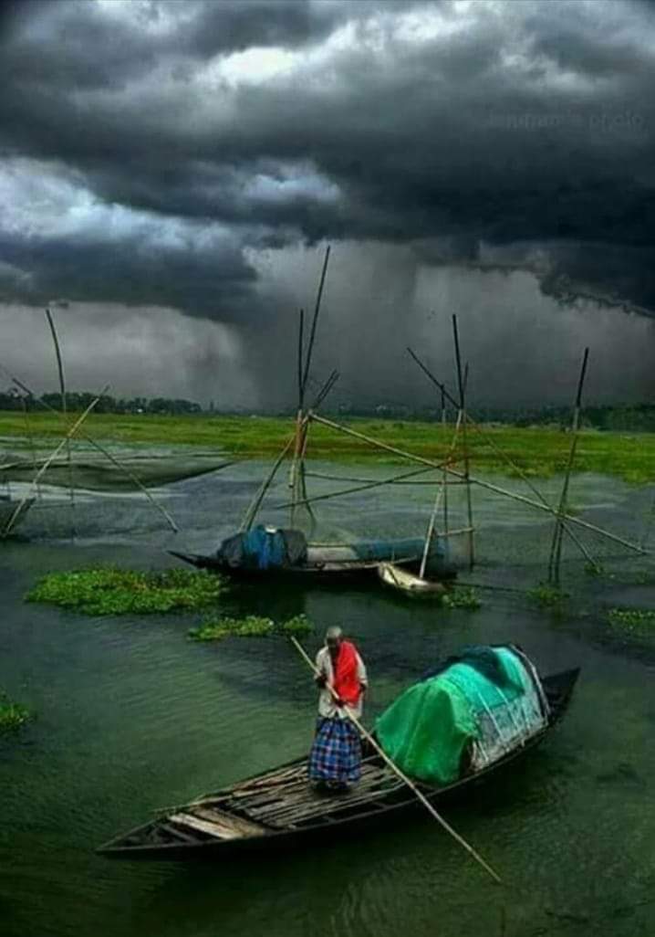 প্রকৃতির চেয়ে ভাল ডিজাইন 
আপনি কোথাও খুঁজে পাবেন না। ☘️🌳☘️