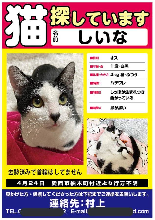 かあろ 迷い猫 捜してます 愛知県 愛西市 日比野 迷い猫 探しています 白黒猫 捜索中 迷子 拡散rt希望 愛知県安西市より迷子になってしまった白黒の猫ちゃんを飼い主様が必死で捜しております 主様twitter始めたばかりです 拡散rtのご