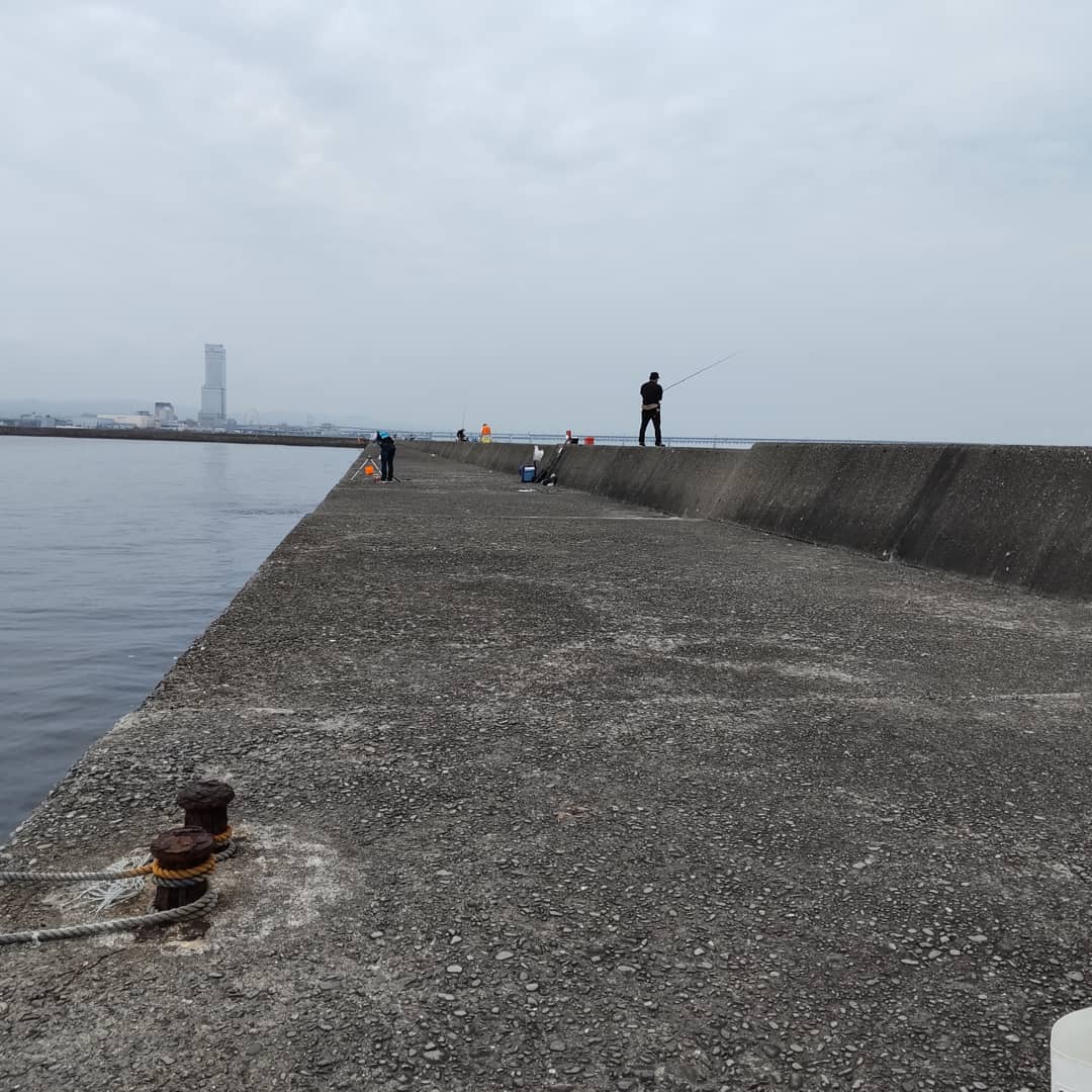長田 雅裕 本日の釣行 泉佐野一文字でエビ撒き １番と２番の間 良かったのは７時まででその後はマイクロガッシー ベラ アナハゼ ガッチョ 晩ごはん分位は釣れたからいいや 葵渡船 泉佐野一文字 エビ撒き T Co Nsdyr9fv9z T Co