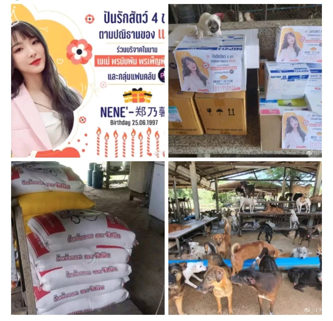 Taew_NN5's tweet image. โปรเจคการกุศลบางส่วนของที่ไทยก็เยอะมากจริงๆทุกคนรักเน่มากๆขอให้เน่มีความสุขในทุกๆเรื่องที่เน่ทำนะคะ HBD Nene  #0625HappyNeneDay