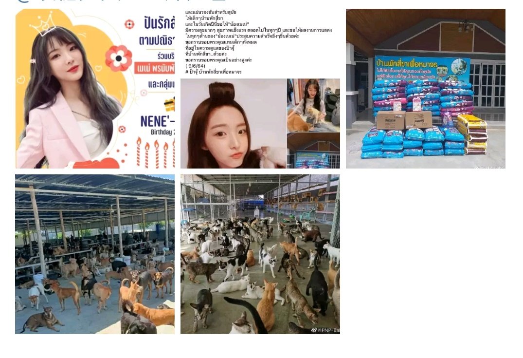 Taew_NN5's tweet image. โปรเจคการกุศลบางส่วนของที่ไทยก็เยอะมากจริงๆทุกคนรักเน่มากๆขอให้เน่มีความสุขในทุกๆเรื่องที่เน่ทำนะคะ HBD Nene  #0625HappyNeneDay