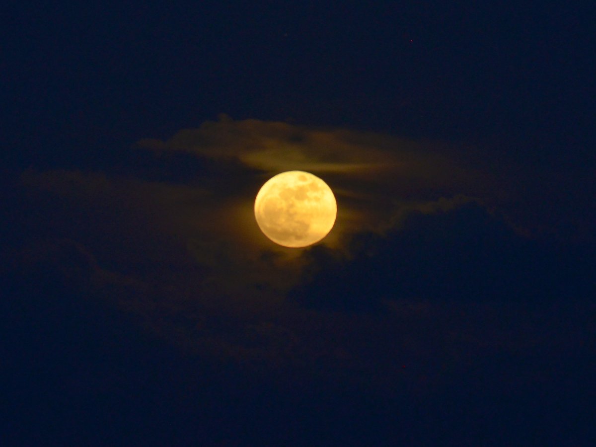 FernandezDiana's tweet photo. Strawberry moonrise behind the clouds. 🌕
#Moonrise #FullMoon #StraberryMoon #SuperMoon https://t.co/Sf10pSCwT2