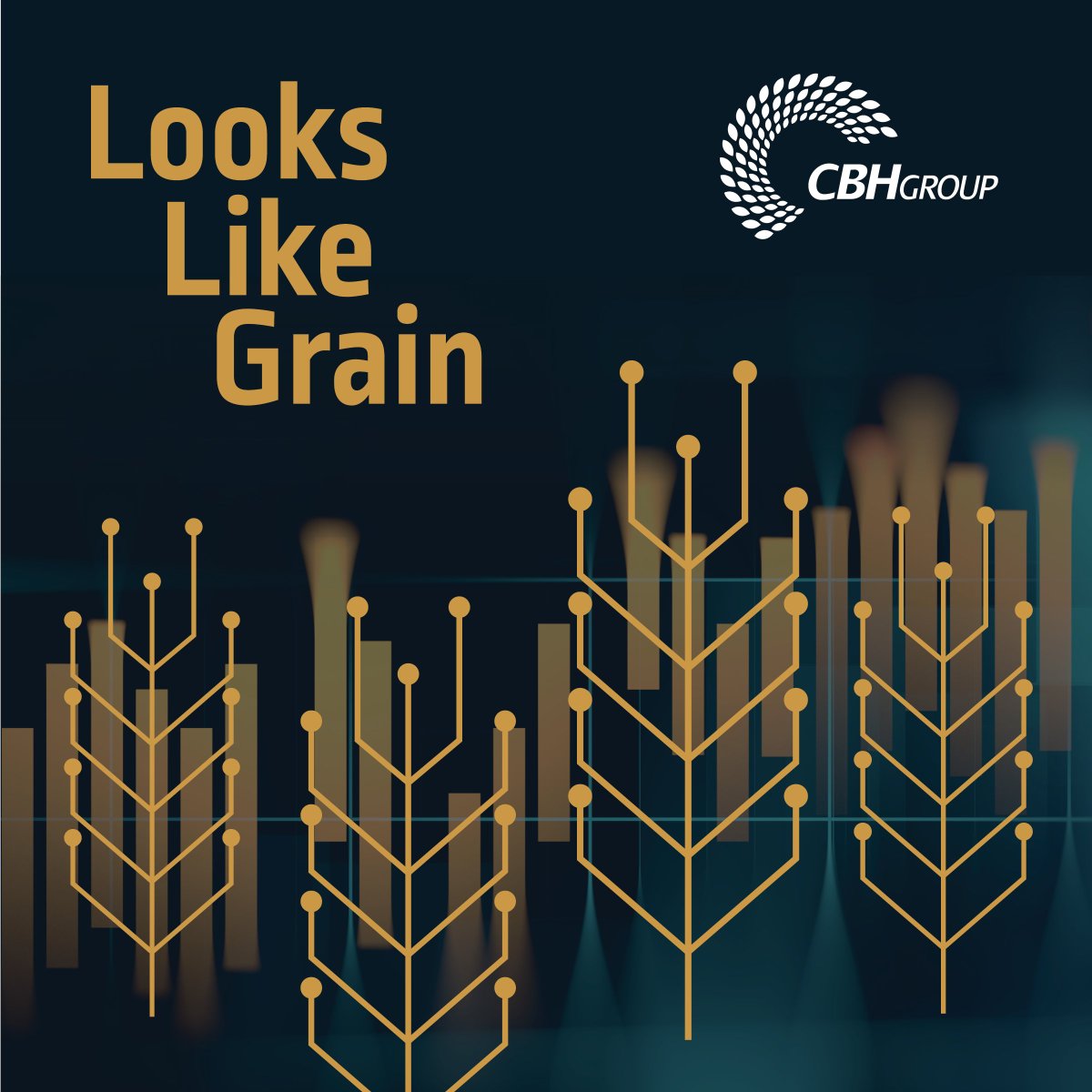 Unearthed_S's tweet image. 🚨 #ML Challenge for #datascientists &amp;amp; #MachineLearningExperts! 🚨

Can you help the industry manage grain quality?

They are looking for data scientists and #MLexperts to develop a #ComputerVision #machinelearning model to increase efficiency! 

➡️ow.ly/ZhkZ50FhitN