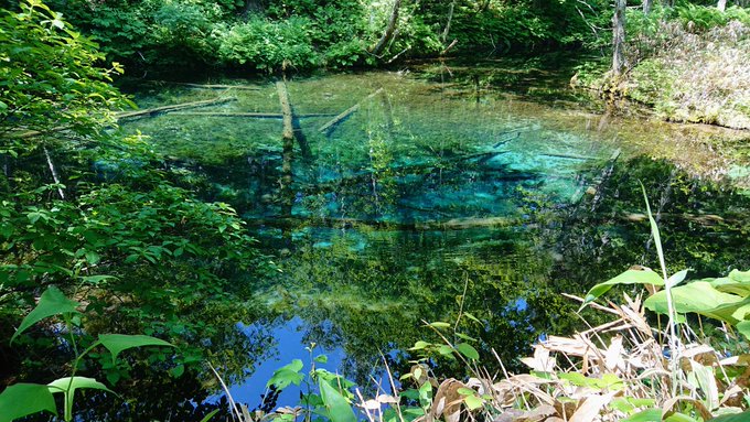モス 元寇中 さん がハッシュタグ ざつ旅 をつけたツイート一覧 1 Whotwi グラフィカルtwitter分析