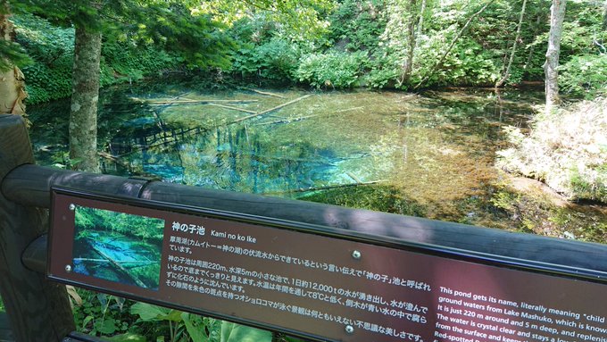 モス 元寇中 さん がハッシュタグ ざつ旅 をつけたツイート一覧 1 Whotwi グラフィカルtwitter分析