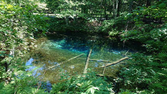 モス 元寇中 さん がハッシュタグ ざつ旅 をつけたツイート一覧 1 Whotwi グラフィカルtwitter分析