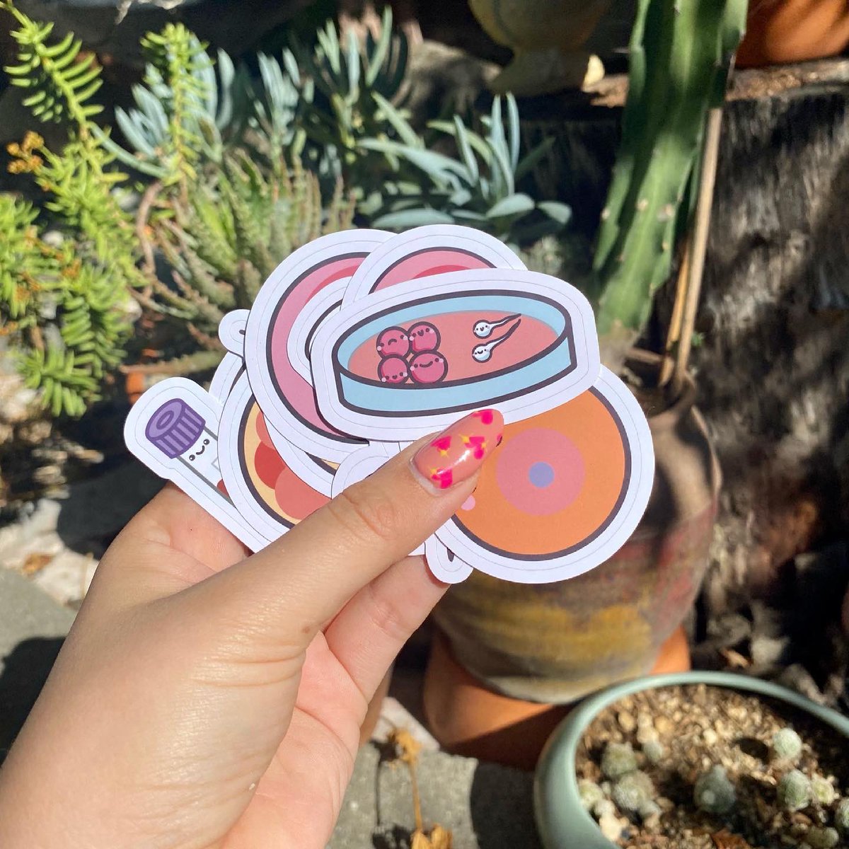 microbesandbeyond tweet media