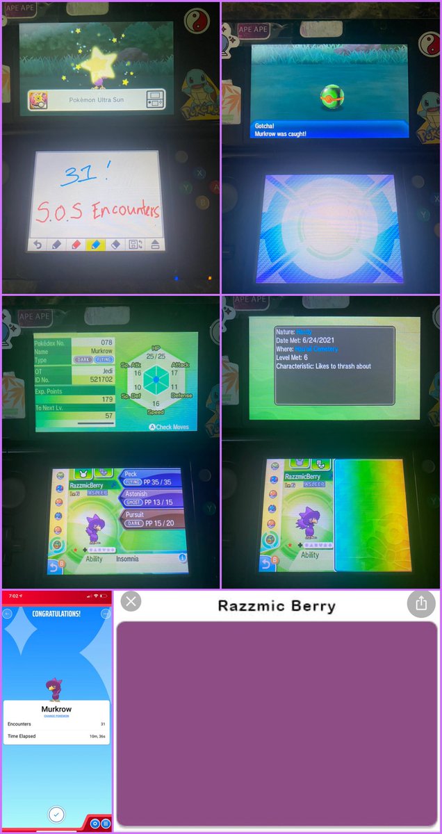 JediKush831's tweet photo. A very quick hunt as I continue my Johto Shiny Living Dex. Coming in Hot at only 31 SoS encounters! I present “RazzmicBerry” the shiny murkrow. I got the name from a shade of purple that resembles the shiny color. #UltraSun☀️ #SoSMethod🆘 #AceShinyHunters #ASH2021 https://t.co/TOIgOiYaN9