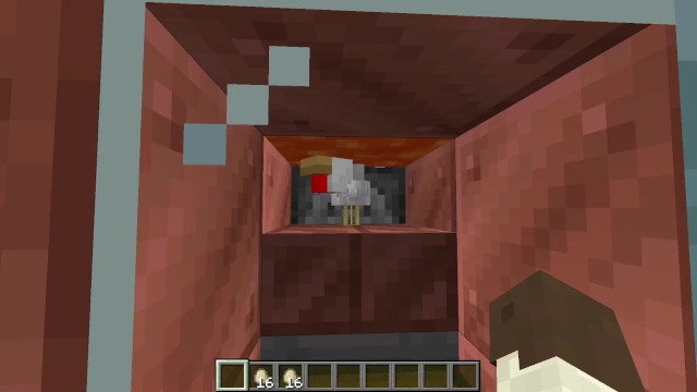 BierMcFly’s pics and videos