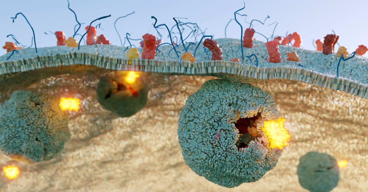#ResearchRoundup You'd be forgiven if you thought this is an artist's impression of an apocalyptic battlefield. It is actually an illustration of Split Luciferase Endosomal Escape Quantification (SLEEQ) at work. <a href="/ARCCoEBionano/">CBNS</a>
