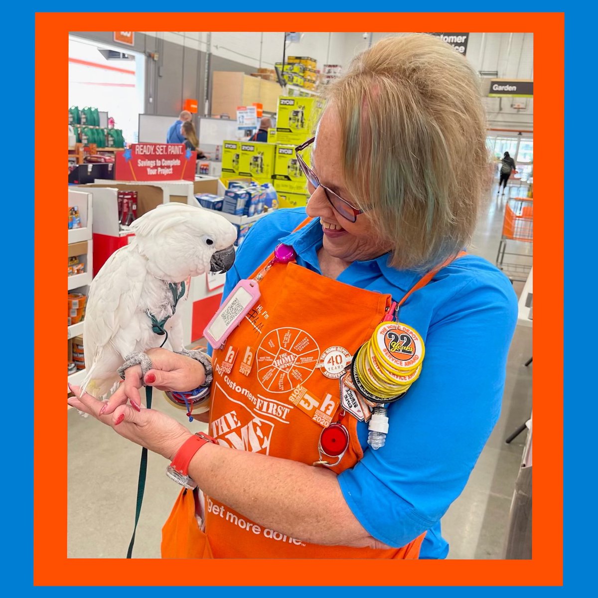 Not Only Does Pam Have an Awesome Partnership With AP she Makes Time to BirdSit While the Owner is Picking Out Paint! 🧡🐥@dennissanders13 @SallyGansior @XKerrigan 🕊🧡