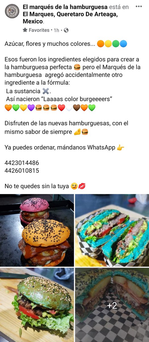 ledezma007's tweet photo. No se queden sin la suya. #COLOBURGUERS en #QUERETARO
#ElMarquesDeLaHamburguesa
#ElcolorDelSabor
💚🍔♥️🍔🧡🍔💜🍔💙🍔🎨 https://t.co/IYhDAUpCge