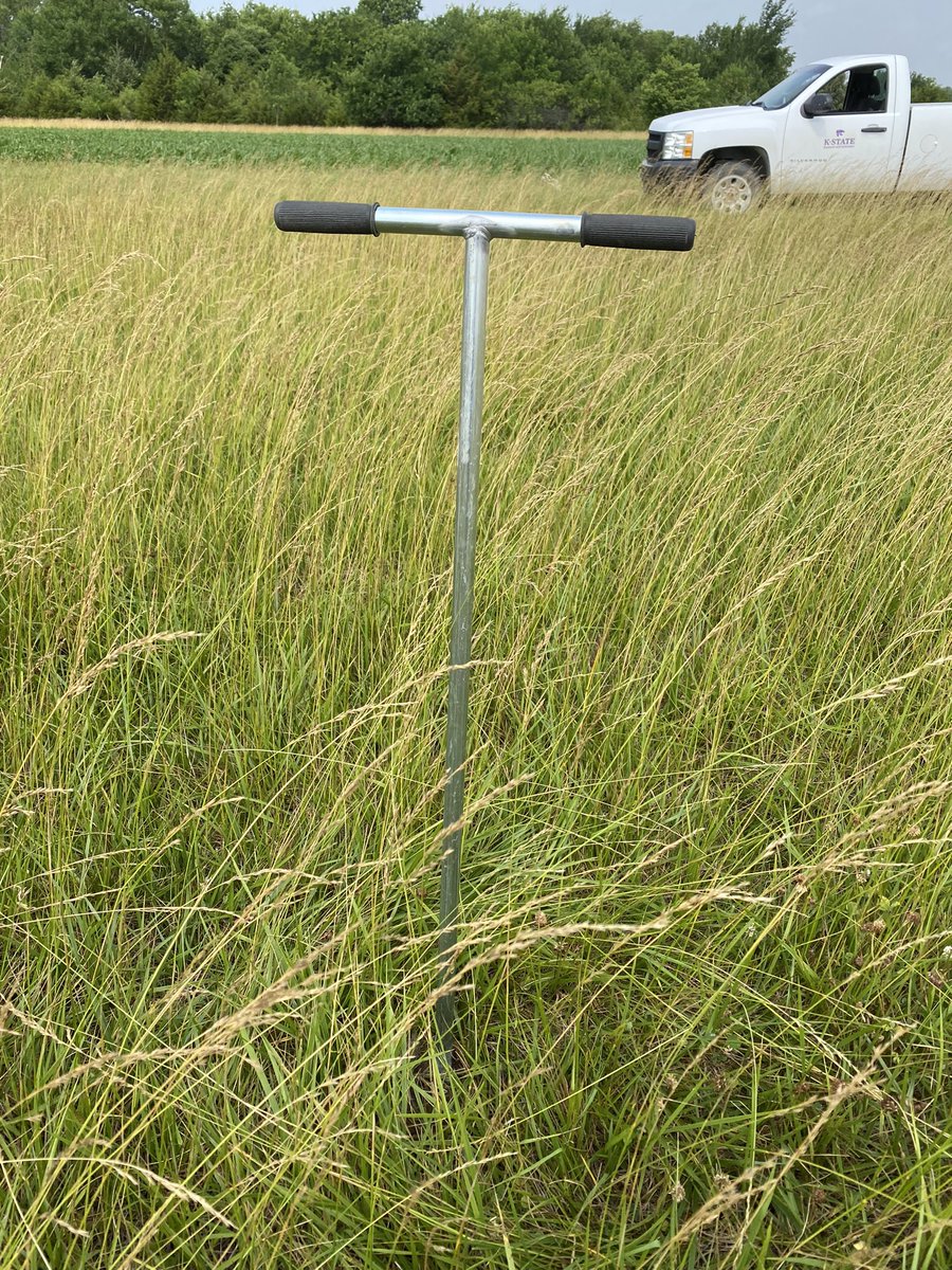 PedreiraBC's tweet photo. Soil is the most important component of the cropping systems. Soil test help us to understand how much has been removed and need to be replaced.
@KStateAgron @KStateRE #cropsystems #forage #hayproduction #nationalforageweek https://t.co/EmQNHTTTnq