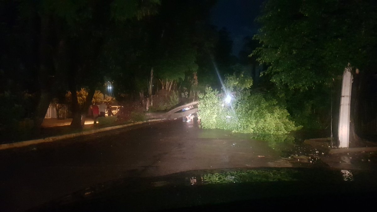Edy_Rey_Show's tweet photo. @Trafico_ZMG Árbol caído en Avenida del Pinar entre Cancún y peten en Pinar de la Calma Zapopan Jalisco.....tengan cuidado...@CFEmx Apoyo por que se corto el suministro de energía Electrica... https://t.co/uF5VmBrolR