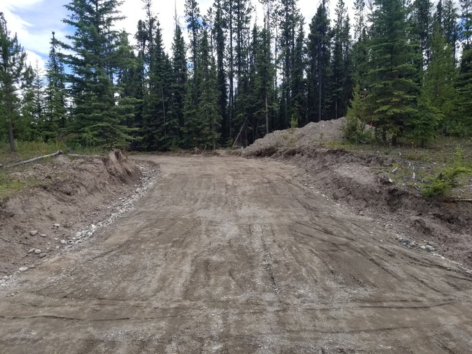 TW Pornstars - ★Alexis D.Vyne★🐰 🏳️‍🌈🏳️‍⚧️. The most liked pictures and