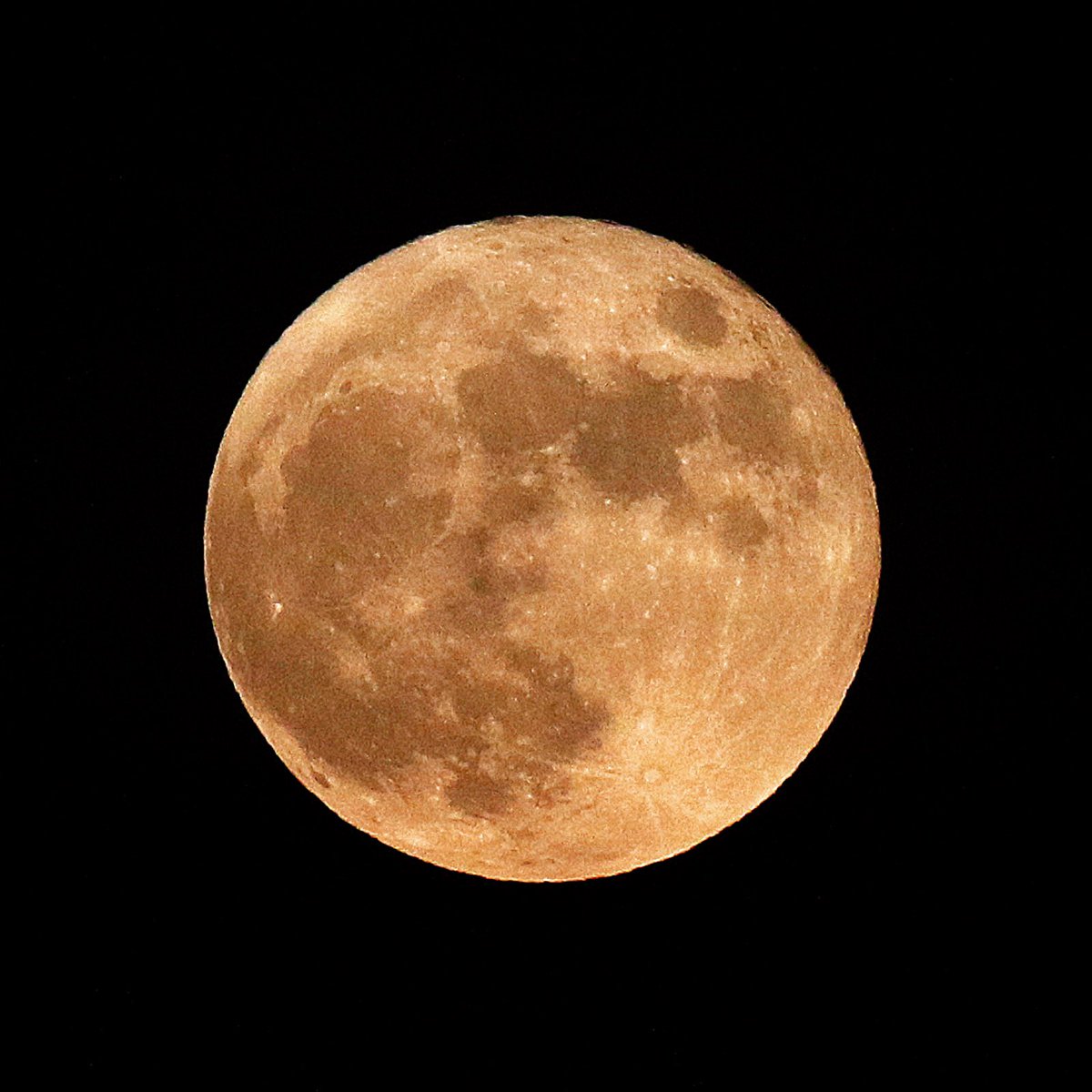 Strawberry Moon 2021