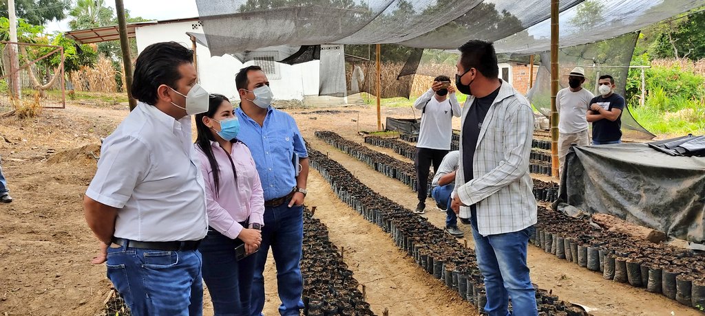 Agricultura Coordinación Zona 4 tweet media