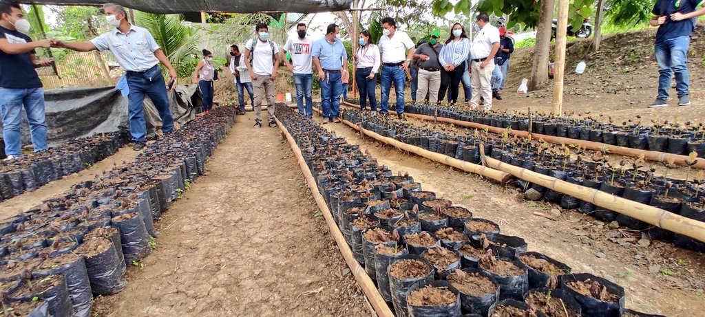 Agricultura Coordinación Zona 4 tweet media