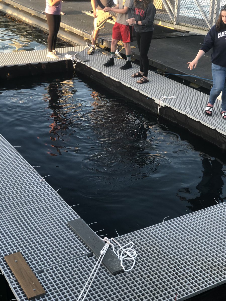 Tacoma Science tweet media