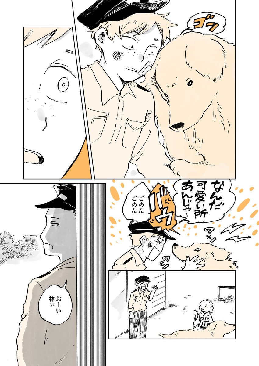 朝日が眩しい時間帯🌞

#姫ばあちゃんとナイト
(単行本発売中📘) 