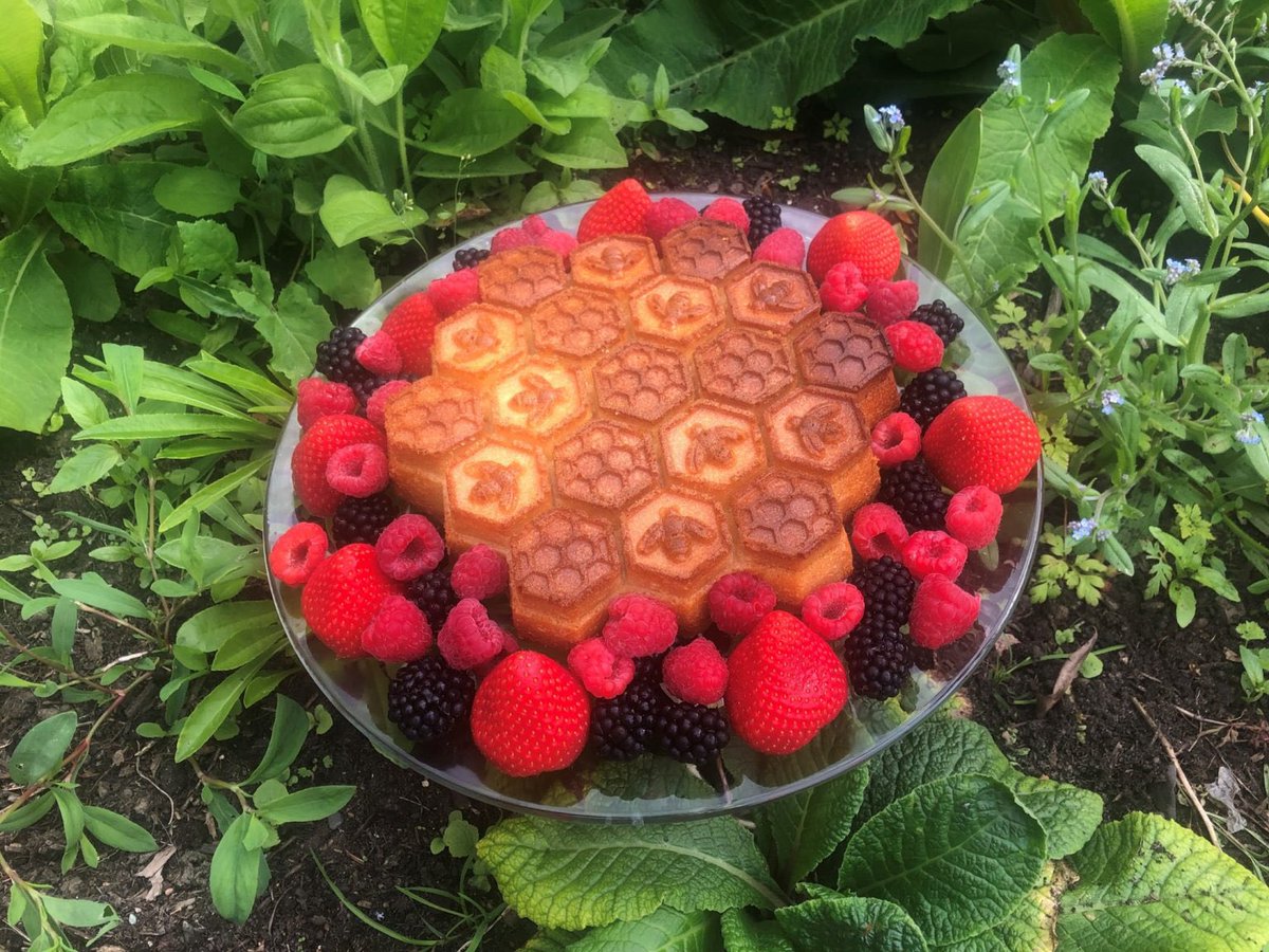 This rich, sweet, and buttery cake goes perfect with some fresh berries 🍓and a glass of milk 🐄 Read our blog on how to make this delicious midsummer honey cake... ahume.co.uk/blog/the-taste… #Midsummer #RecipeOfTheDay #summerfood #summer #blog #cake