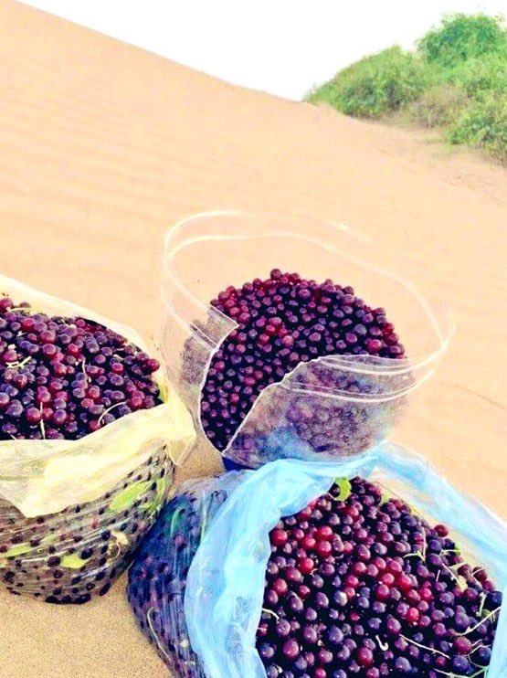 سعيد السهيمي tweet media