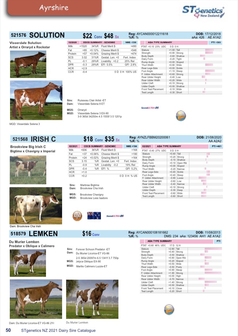 GeraldEmming's tweet image. If you looking for the best Ayrshire bull in NZ.