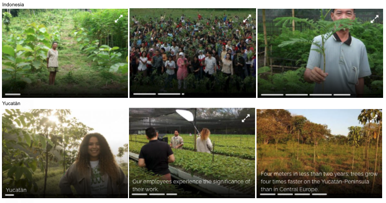 alphacodersDE's tweet photo. Was ist eigentlich aus unserer #Klimawoche geworden? 💚 Die Abstimmung unserer Kolleg:innen hat ergeben, dass 833 Bäume auf der Halbinsel Yucatàn, Mexiko und 833 Bäume in Indonesien gepflanzt werden.🌱 Hier sind einige Bilder von den unterstützten Projekten: #Klimaschutz https://t.co/3S6K5tE3Ih