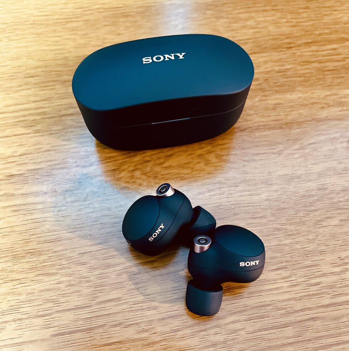 ぼーなすの具現化

#SonyWF1000XM4