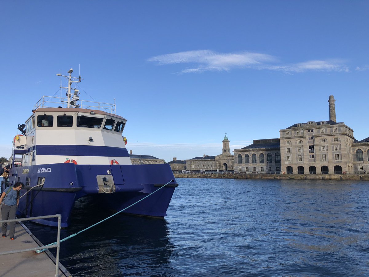 After a 2yr gap we are back in the water! #PlymDeeps21 team has 3 days w <a href="/RV_Callista/">Callista</a> <a href="/NHM_London/">Natural History Museum</a> <a href="/unisouthampton/">University of Southampton</a> <a href="/darwintreelife/">Darwin Tree of Life</a> to survey #UKBiodiversity