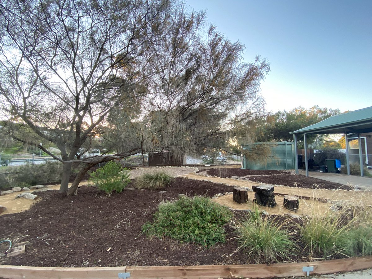 ProjReimaginate's tweet image. Our new outdoor classroom has provided plenty of joy and inspiration for younger Ss at our little school. Kids are loving the space during play time!
##ProjReimaginate