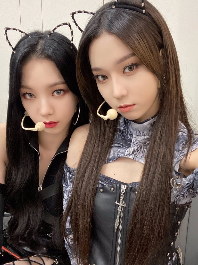 โอ้โห พวกแมวอย่าแรงนะ