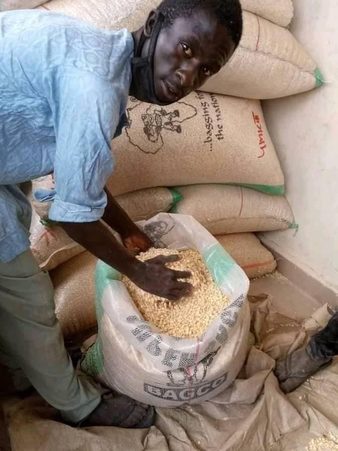 Ay_Bawaa's tweet photo. A mudu of maize is now sold for N450 but Alhaji Sagiru Muhammad  in Gombe state came out to sell his own at the rate of N200. This kind gesture is what the poor needs right now, there is poverty in Nigeria. https://t.co/AyVMToaKpU