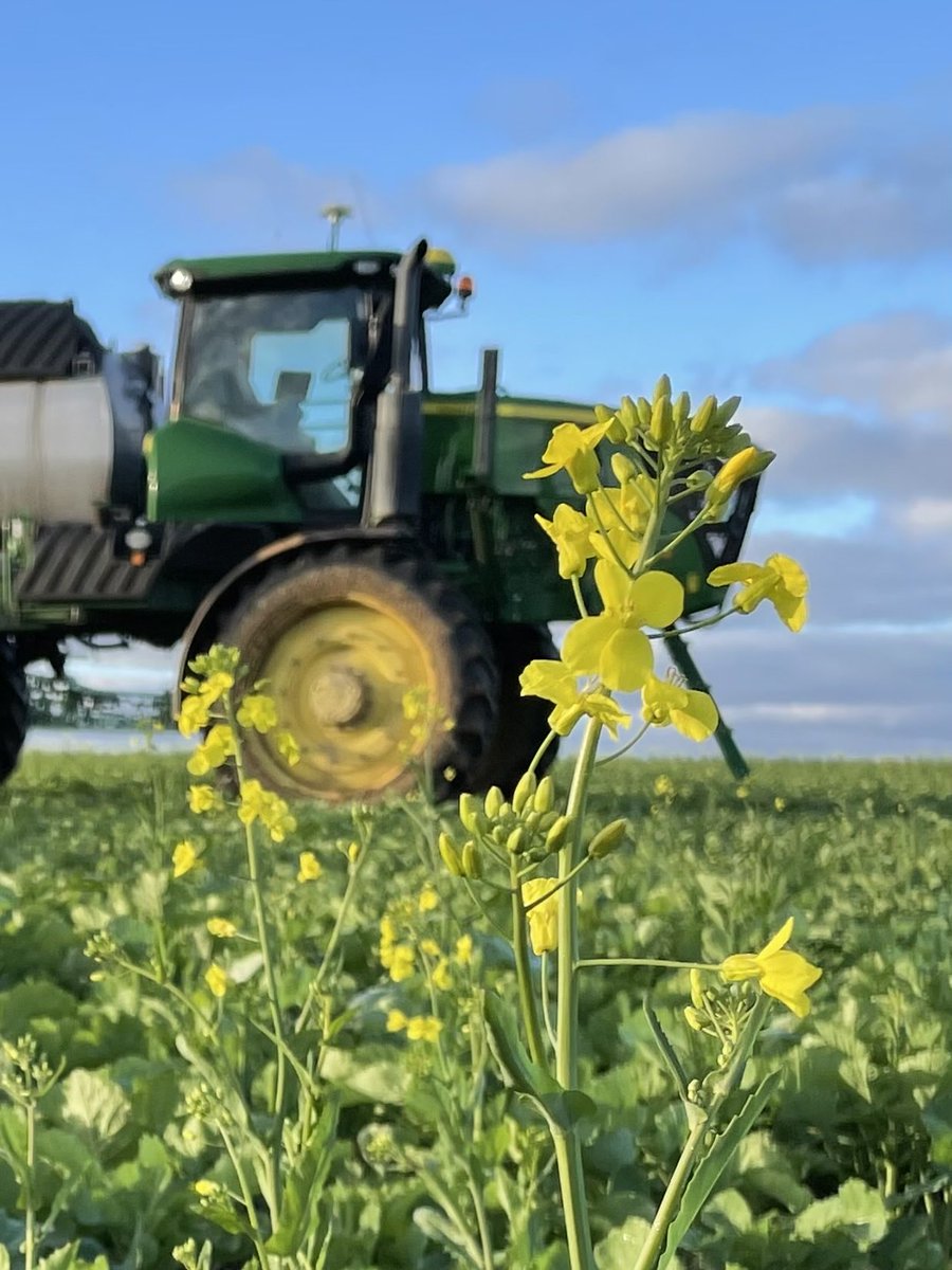 David Lewis tweet media