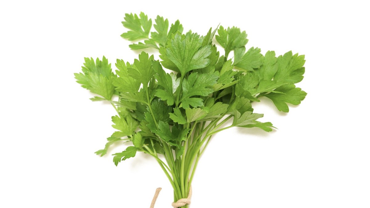 zomato's tweet photo. what's it called? (wrong answers only) https://t.co/edyAvWag3k